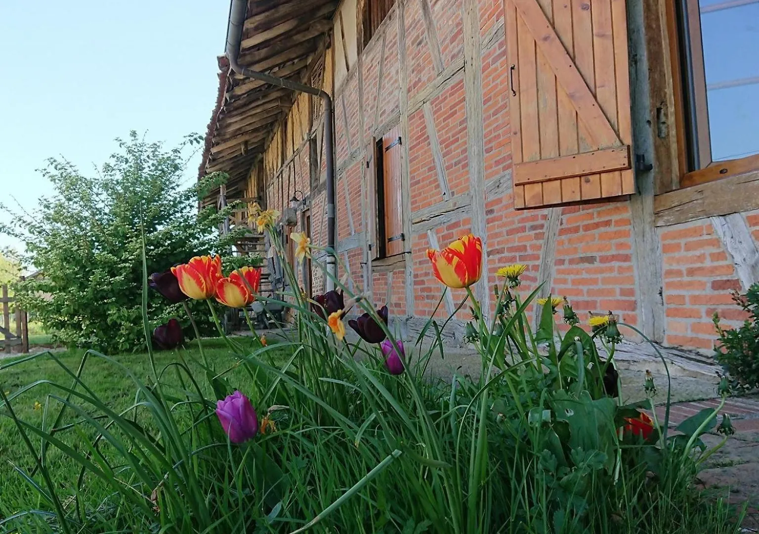 A La Poularde B&B Curciat-Dongalon 0*,